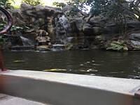 IMG 1154