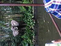 IMG 1155
