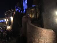 IMG 1173