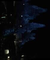 IMG 1181