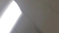 IMG 1255