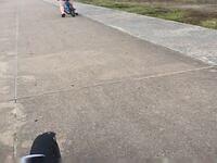 IMG 1750