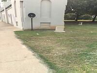 IMG 1792