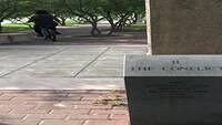 IMG 1798