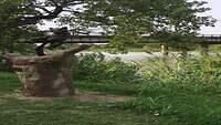 IMG 1802