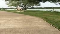 IMG 1810