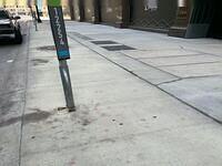 IMG 3009