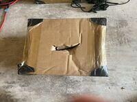 IMG 4651