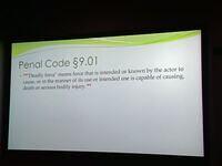 IMG 4685