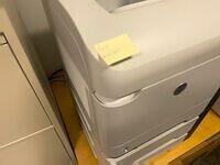 IMG 4718