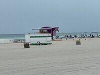 IMG 4744