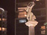 IMG 4784