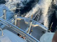 IMG 4831