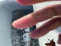 IMG 4834