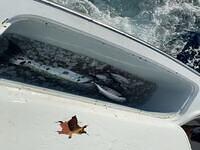 IMG 4838