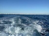 IMG 4840