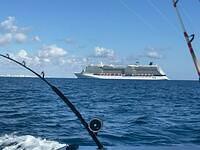 IMG 4849