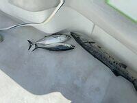 IMG 4853