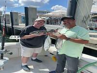 IMG 4854