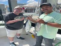 IMG 4856
