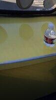 IMG 4869