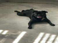 IMG 4891