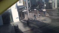 IMG 4929