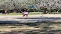 IMG 5288