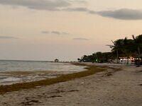 IMG 5483