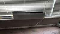 IMG 5616