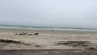IMG 5985