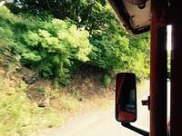 IMG 6131(1)