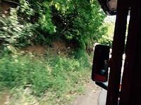 IMG 6135(1)