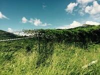 IMG 6140(1)