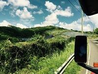 IMG 6144(1)