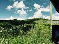 IMG 6145(1)