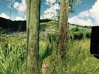 IMG 6148