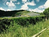 IMG 6149(1)