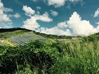 IMG 6152(1)