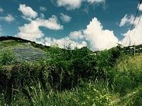 IMG 6153