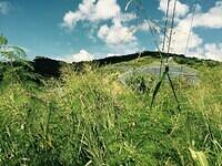IMG 6154(1)