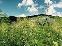 IMG 6154