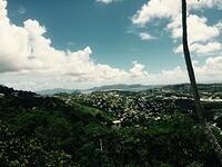 IMG 6174(1)