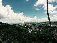 IMG 6174