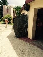 IMG 6176