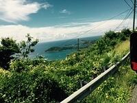 IMG 6181