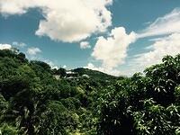 IMG 6207(1)