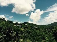 IMG 6208(1)