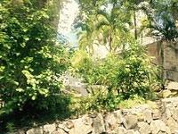 IMG 6215(1)