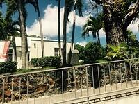 IMG 6217